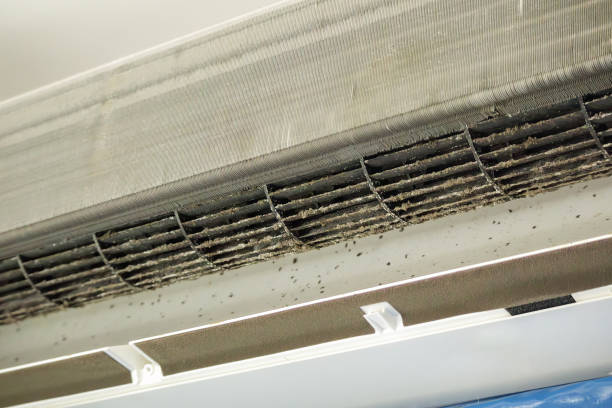 Best Emergency Air Duct Cleaning  in Brownsboro, TX